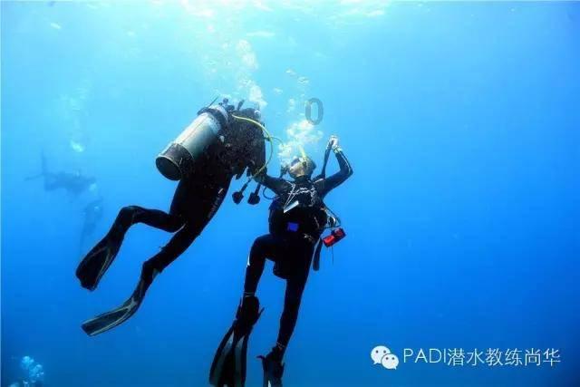 游学中途遇意外,谁之过?